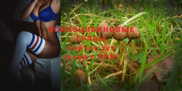 тгк Балабаново
