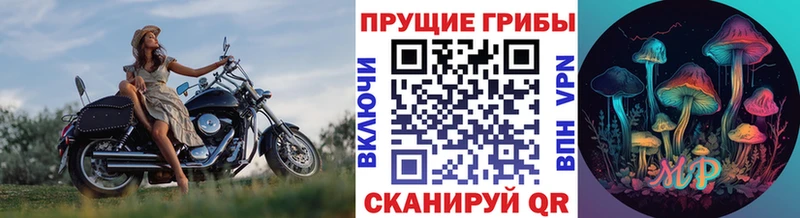 Псилоцибиновые грибы прущие грибы  Билибино 